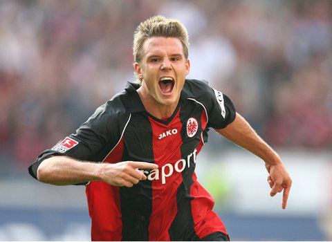 观众将有机 观众将有机